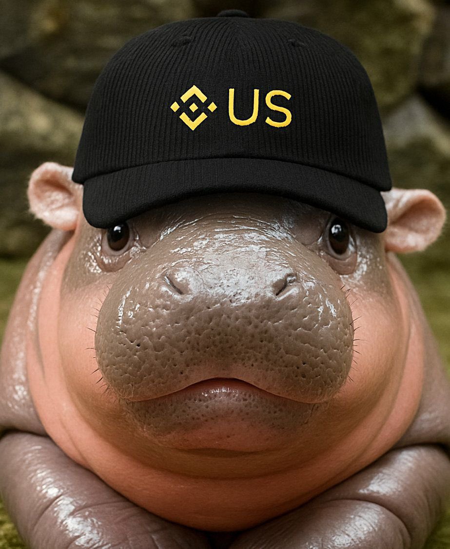 Marcus29292929's tweet photo. @binance $Moodeng, and we all know it. https://t.co/JPOHETBgUs