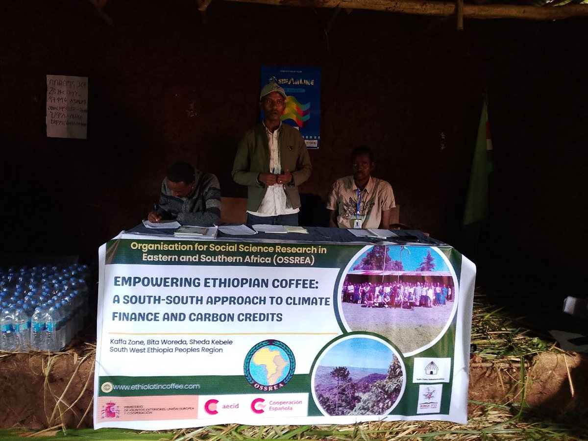 100 women #coffee farmers in #Sheda, #Kaffa Zone move closer to climate-smart livelihoods🌱 With <a href="/OSSREA/">OSSREA</a> <a href="/AecidEtiopia/">AECID Ethiopia</a> they’ve planted banana as temporary shade trees ahead of carbon-credit coffee plots. Food security today, #CarbonCredits tomorrow. 👉bit.ly/44OkDWm