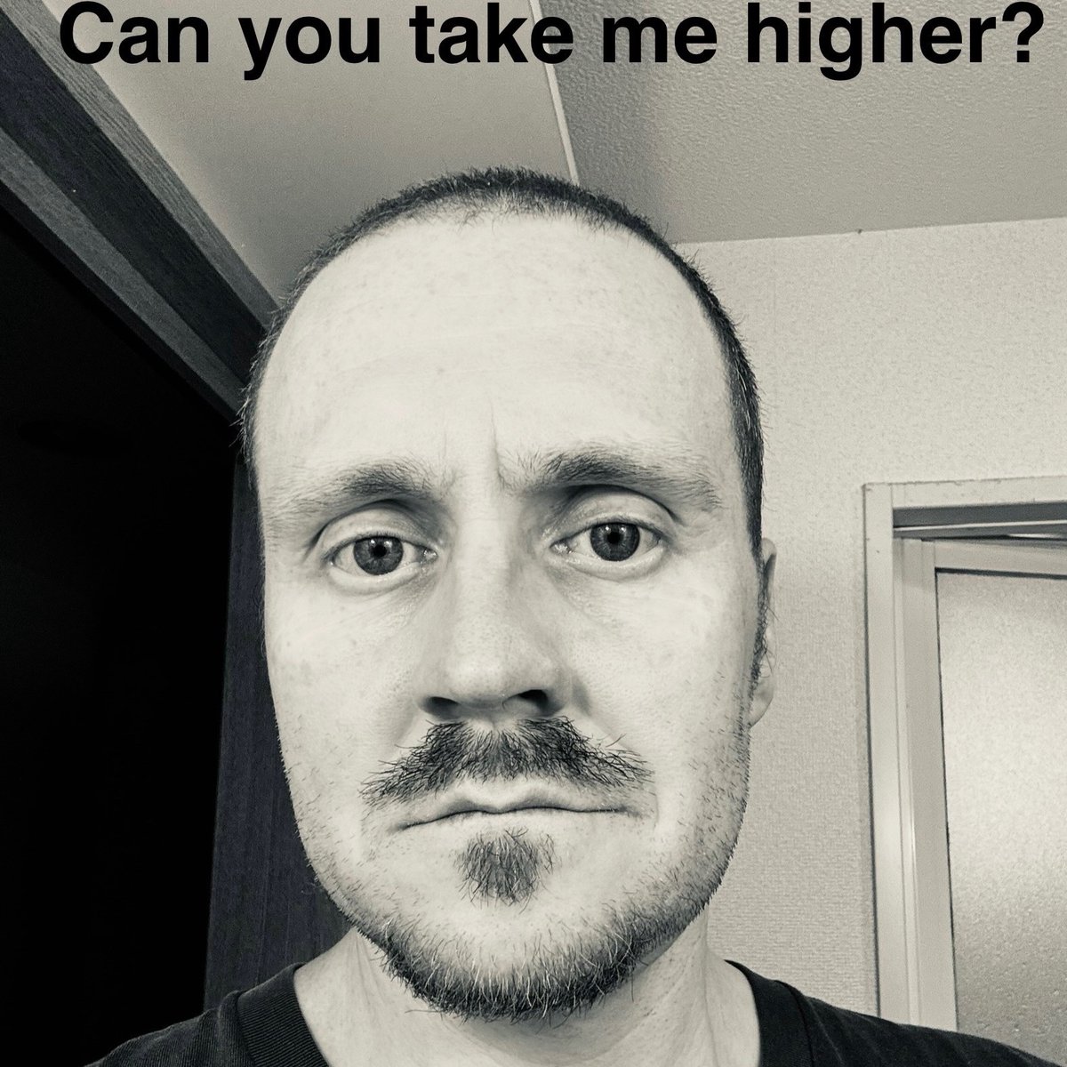 The trouble with having a goatee is you look in the mirror and make fun of yourself for looking like a member of Nickelback

And then an hour later you realize why Nickelback is playing in your head on loop

Mess with Nickelback and pay the price