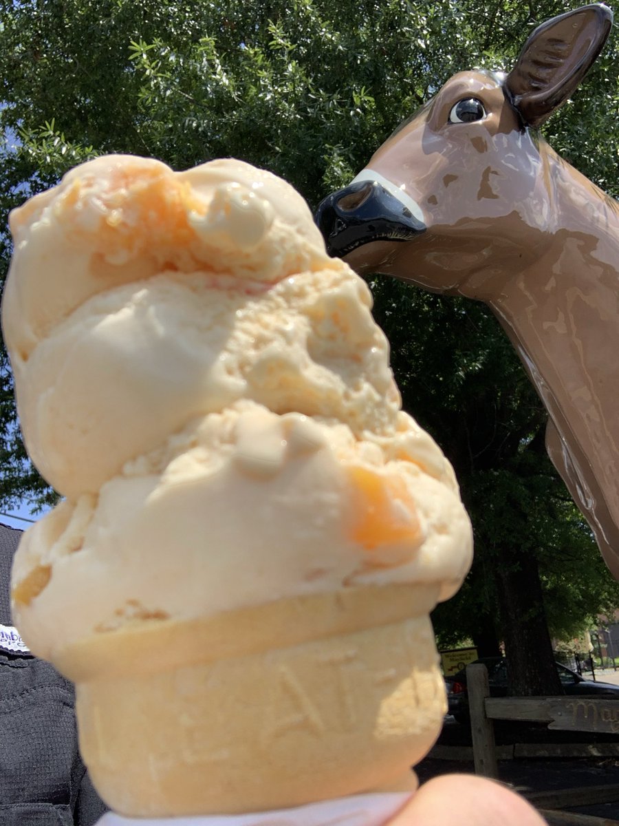 wjwheeler54's tweet image. Good Thursday morning. 72 in Gatlinburg. It’s Lottery Day, Get to Know Your Customers Day, Dole Whip Day, Peach Ice Cream Day, Tattoo Day and World Emoji Day. Have a terrific day and keep smiling. Pray, encourage & support. You are loved and we are Blessed. 🇺🇸