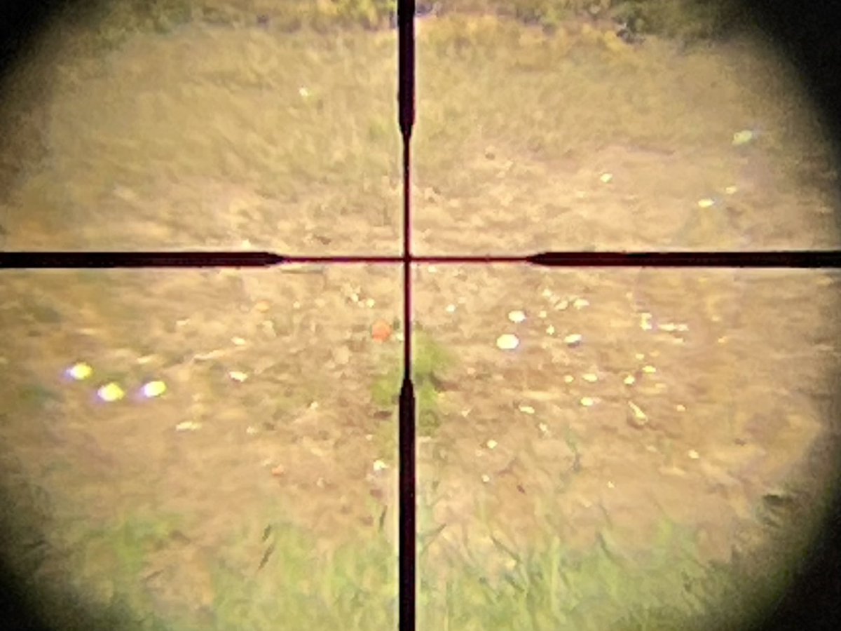 Ungefär så här mycket faller min övningsammo ned mellan 150 och 340 m.
(målet är den orangea lerduvan något till vänster om det vertikala strecket)