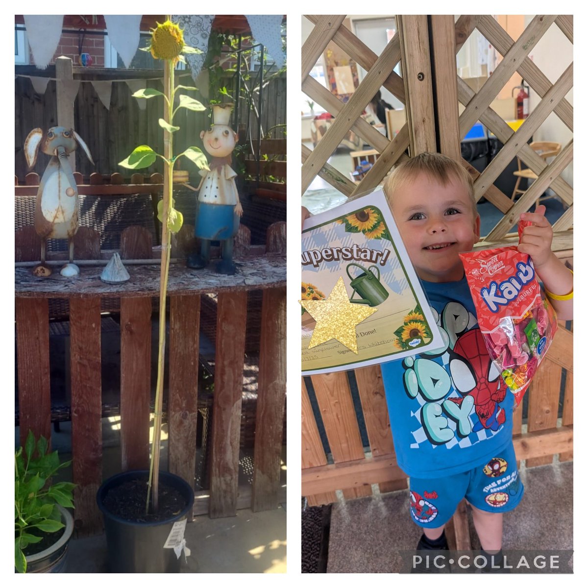 A&K Reception - Mrs Whitehouse tweet media