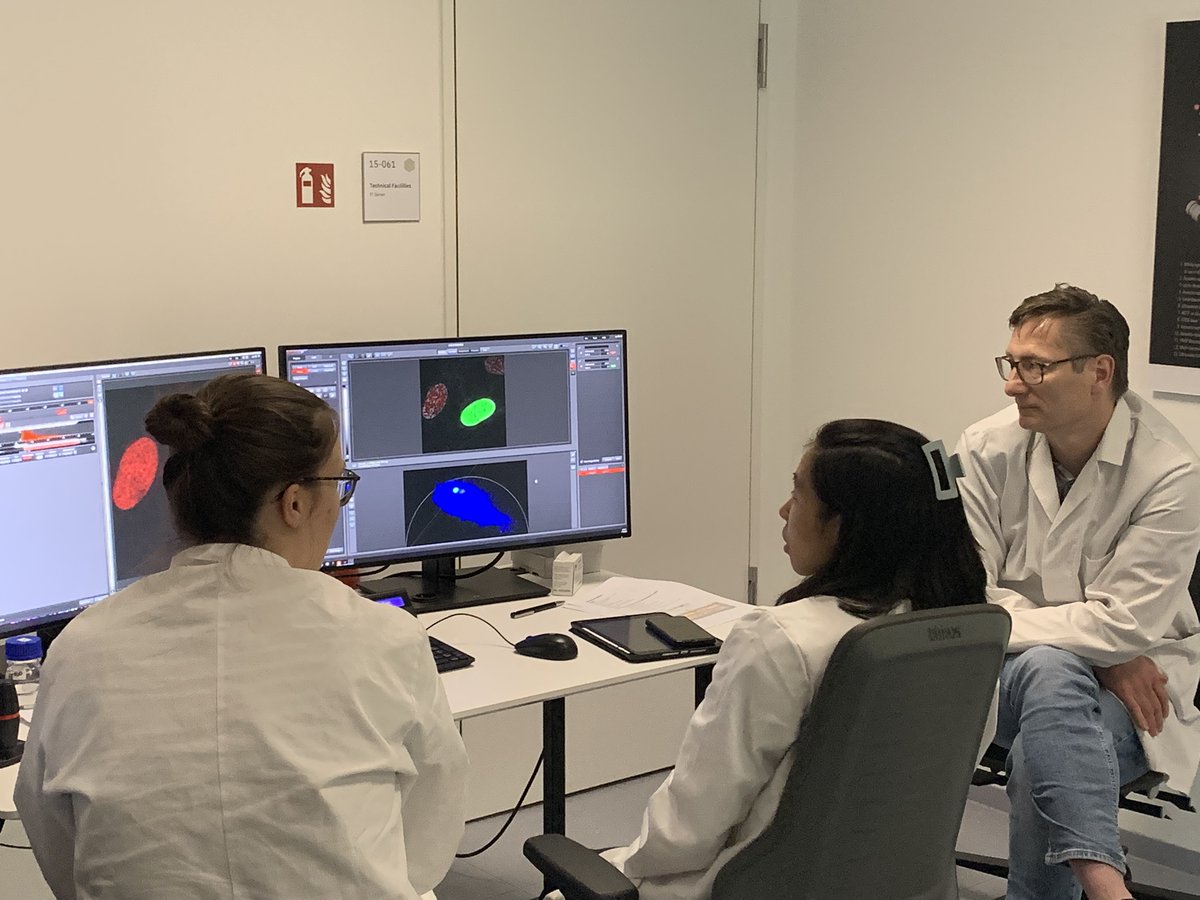 EMBLEvents's tweet image. During the 5 day #EMBLFluorescenceLifetime course, participants get hands-on training every afternoon on our state-of the art microscopes 🔬
Practicals include Halo-tags & FLIM on STELLARIS inverted DIVE, Multiplexing with FPs and FLIM on STELLARIS 8 STED, as well as FLIM…
