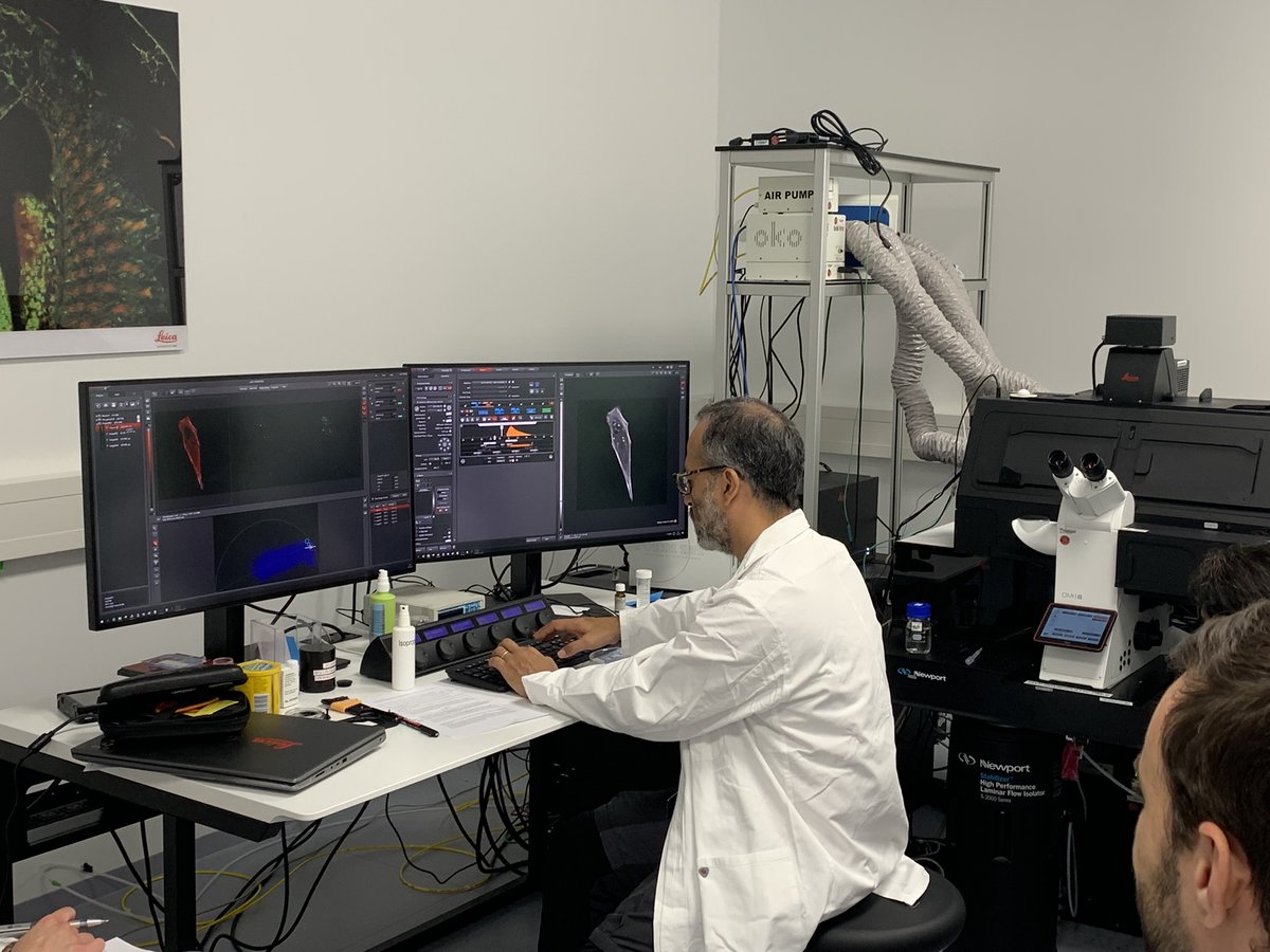 EMBLEvents's tweet image. During the 5 day #EMBLFluorescenceLifetime course, participants get hands-on training every afternoon on our state-of the art microscopes 🔬
Practicals include Halo-tags & FLIM on STELLARIS inverted DIVE, Multiplexing with FPs and FLIM on STELLARIS 8 STED, as well as FLIM…