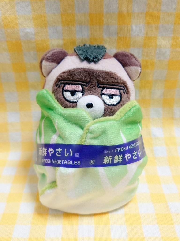 odbrt's tweet image. ナイスなマステもからーさんからの頂き物です✨
我が家の白菜も新鮮になれました🥬✨
🦝「えぇ…おれ、わりと しおしおよぉ？」