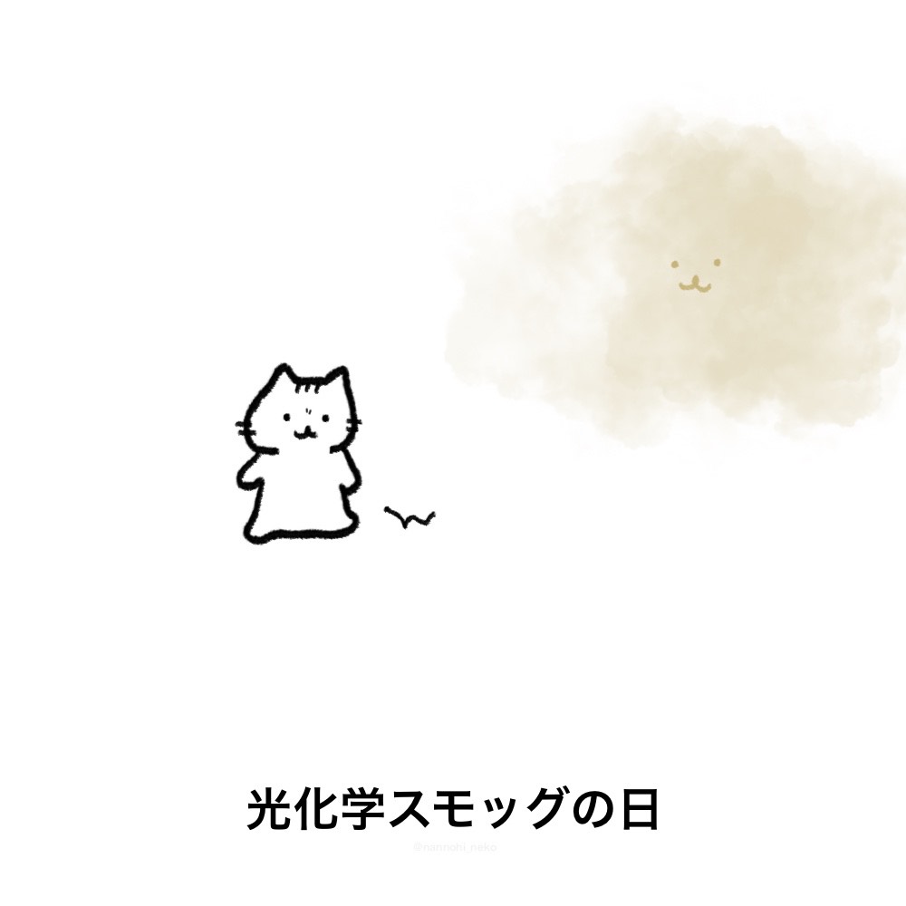 nannohi_neko's tweet image. #今日は何の日 #猫 #ねこ 
#光化学スモッグの日