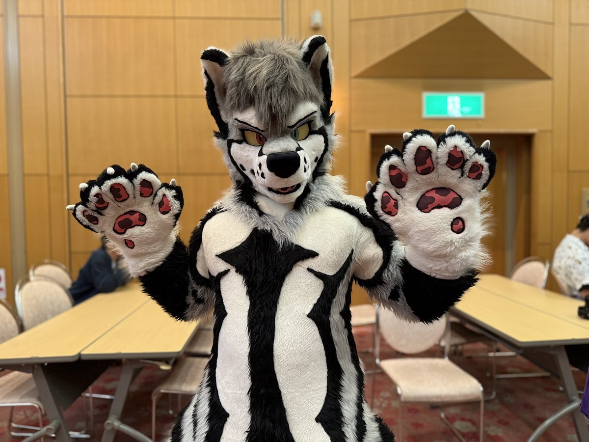 Rig_sor2024's tweet image. 編集思ったより長いかかっちゃいましたけど数日睡眠不足の末にビデオ載せられて嬉しかったです!#ケモすて4 と #んなモフ はじめて参加しますし...脳内ビビすぎて取り乱すんばっかりな状態覚えっちゃてw
主催者も関係者もありがとうございます!
youtu.be/0Pc_IHqr7R0 @geppei8989