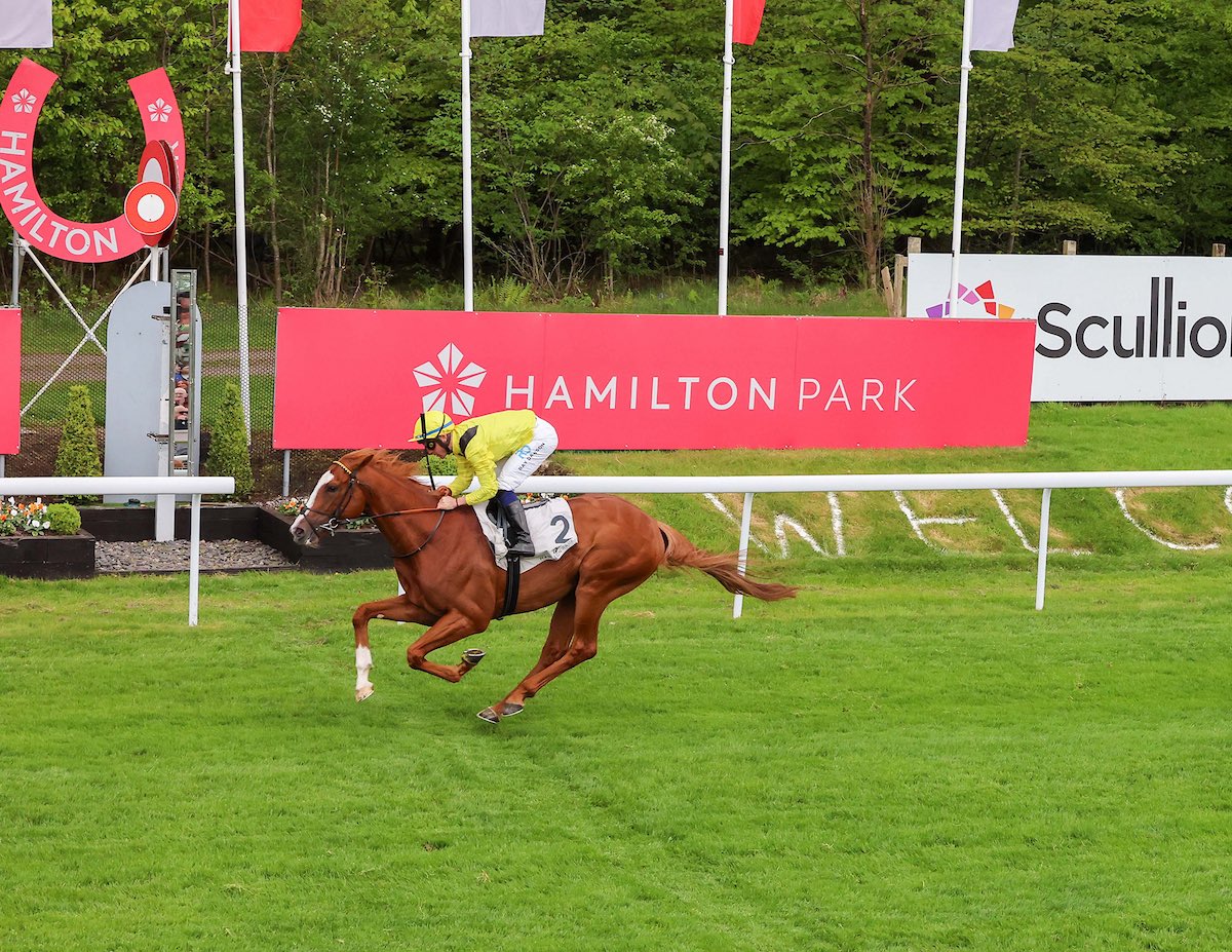 Scottish Racing (@scottishracing) on Twitter photo 📍<a href="/HamiltonParkRC/">Hamilton Park</a> this afternoon... 🌞
Check out Gordon's preview… 👀
Gordon has caught up with Danny Tudhope who hoping his faith in Theoryofeverything will pay off in the £30,000 feature race...🏇
Read here 👉 bit.ly/ScottishRacing…
🏴🏇 📍<a href="/HamiltonParkRC/">Hamilton Park</a> this afternoon... 🌞
Check out Gordon's preview… 👀
Gordon has caught up with Danny Tudhope who hoping his faith in Theoryofeverything will pay off in the £30,000 feature race...🏇
Read here 👉 bit.ly/ScottishRacing…
🏴🏇