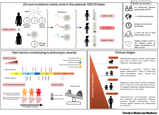 TrendsMolecMed's tweet image. ONLINE NOW: Rett syndrome: a complex disorder with promising therapeutic prospects dlvr.it/TLypqq