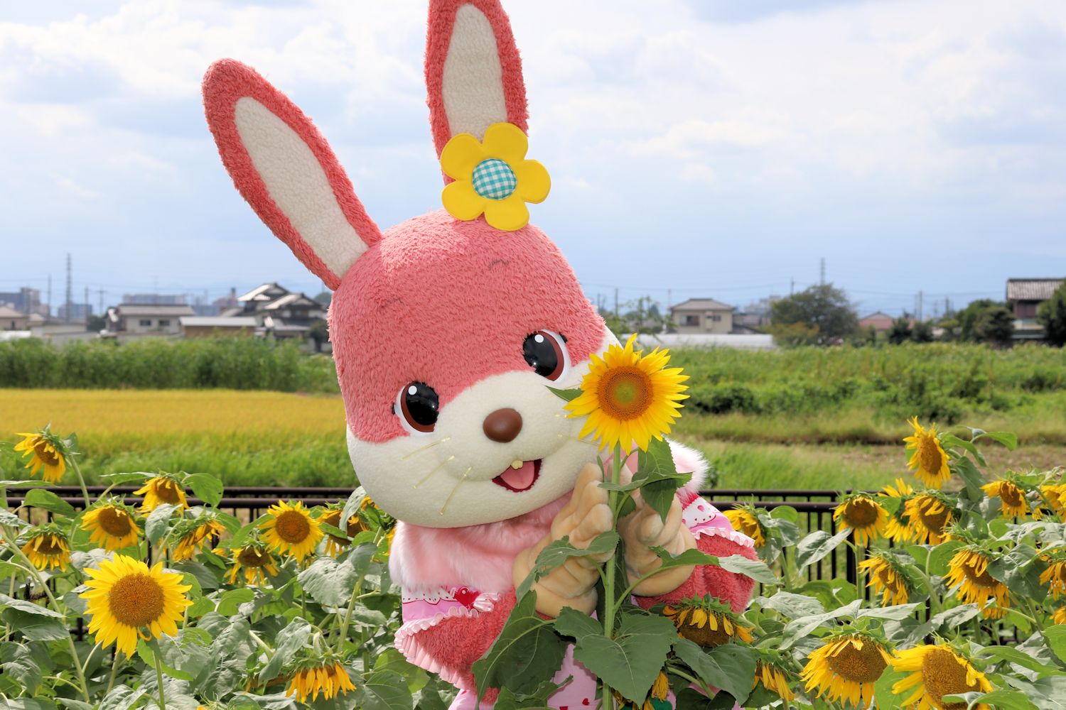 どら on X: 