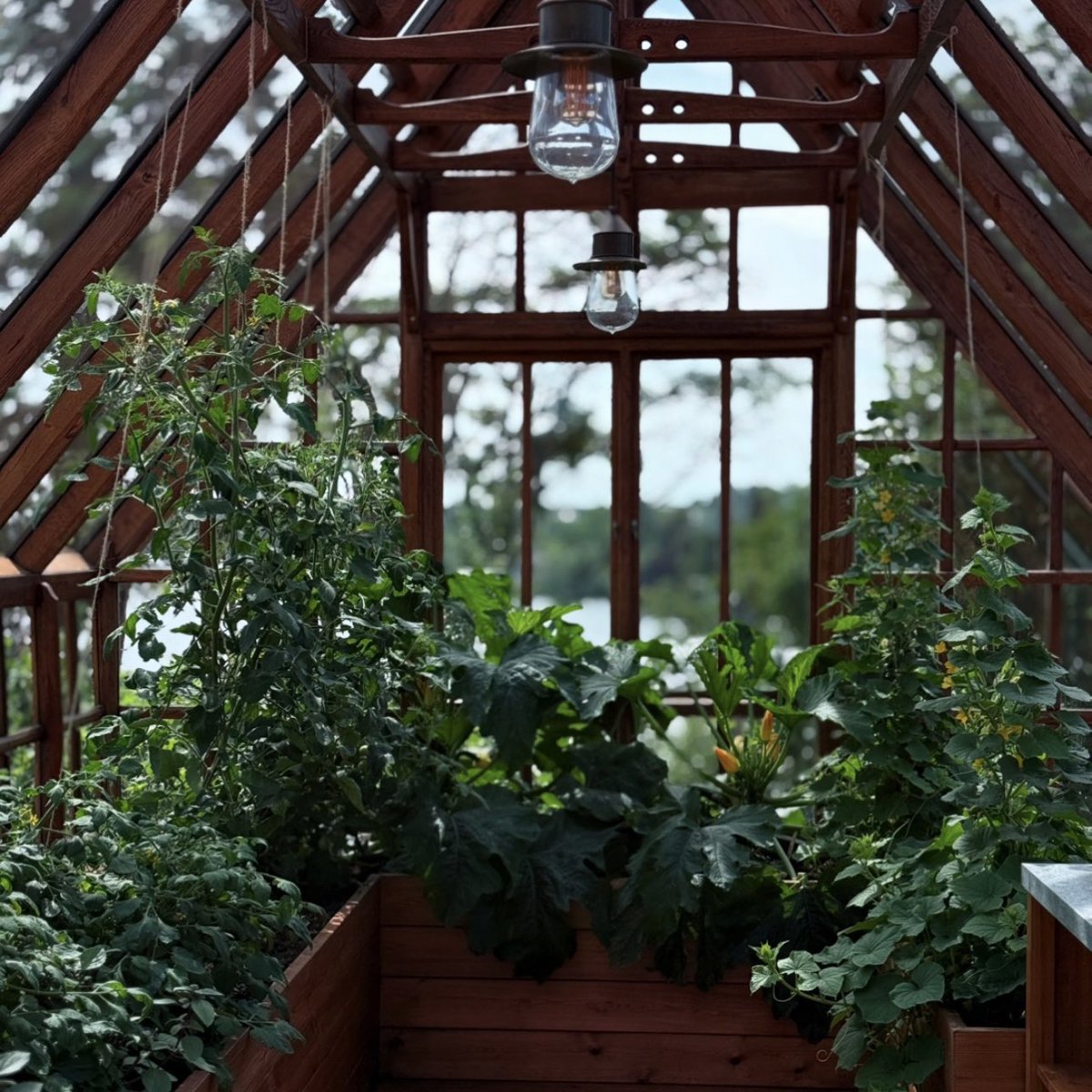 Daniel Ek tweet media