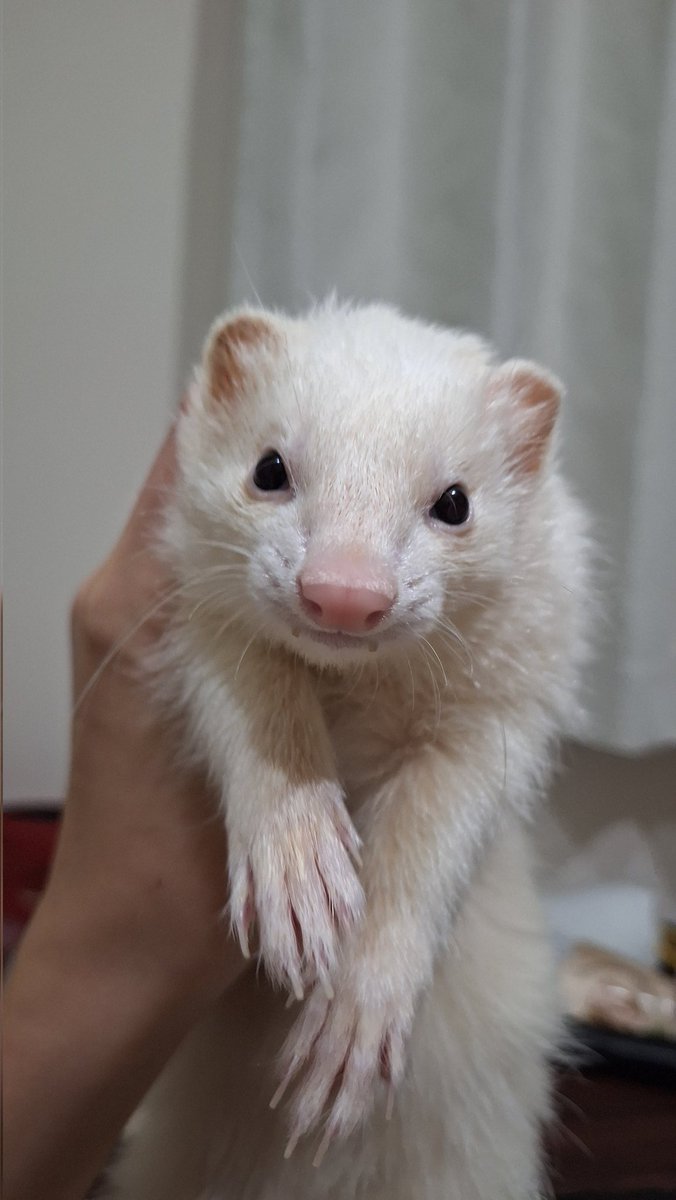 サクちゃんごめん！！！
BIGみるく売り切れてたわ！！！！