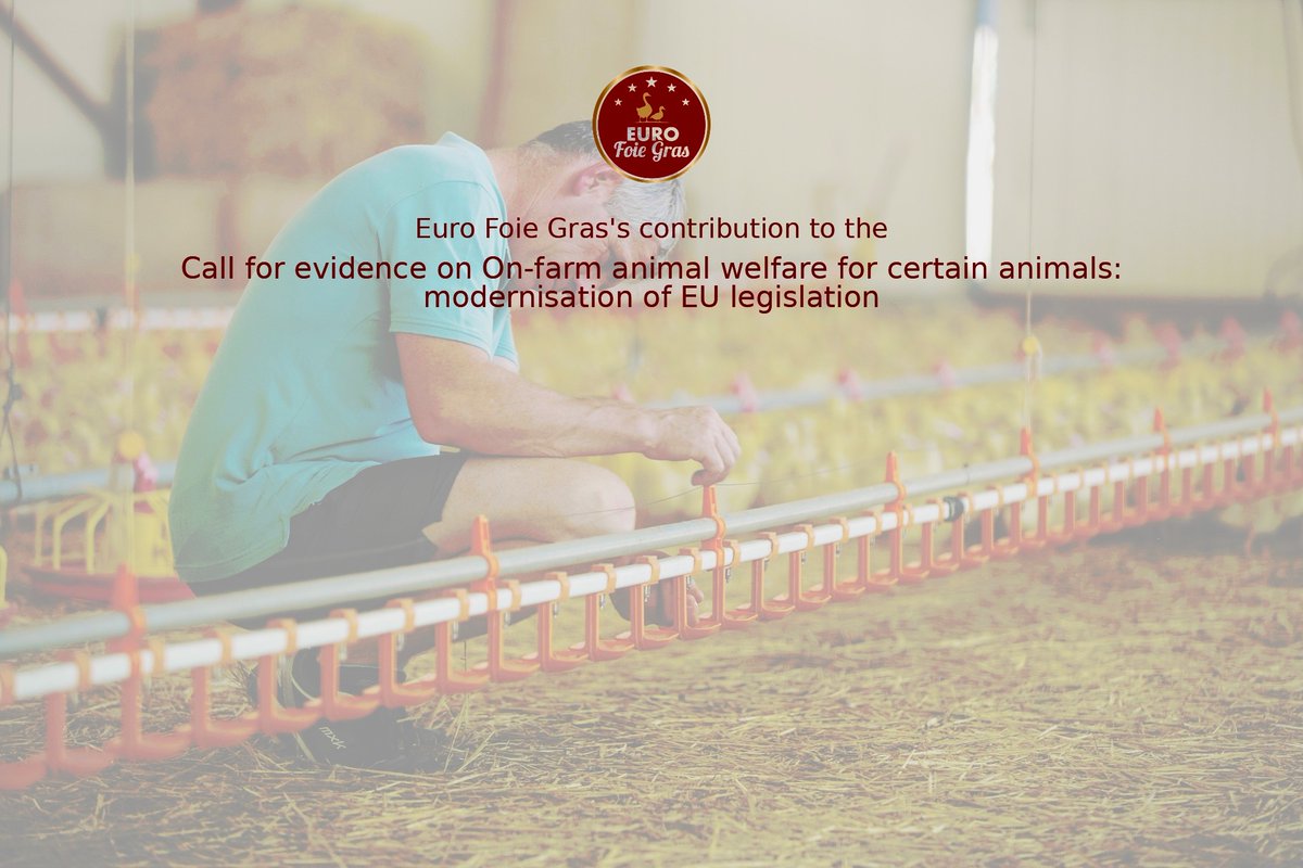 EuroFoieGras's tweet photo. #EuroFoieGras proudly contributed to the EU call on #AnimalWelfare! #Palmipeds live 90% of their lives outdoors, and cages have already been replaced by collective housing systems. We urge the upholding of these welfare-friendly systems and ensuring that imports meet #EUStandards https://t.co/RI1SmVYj1B