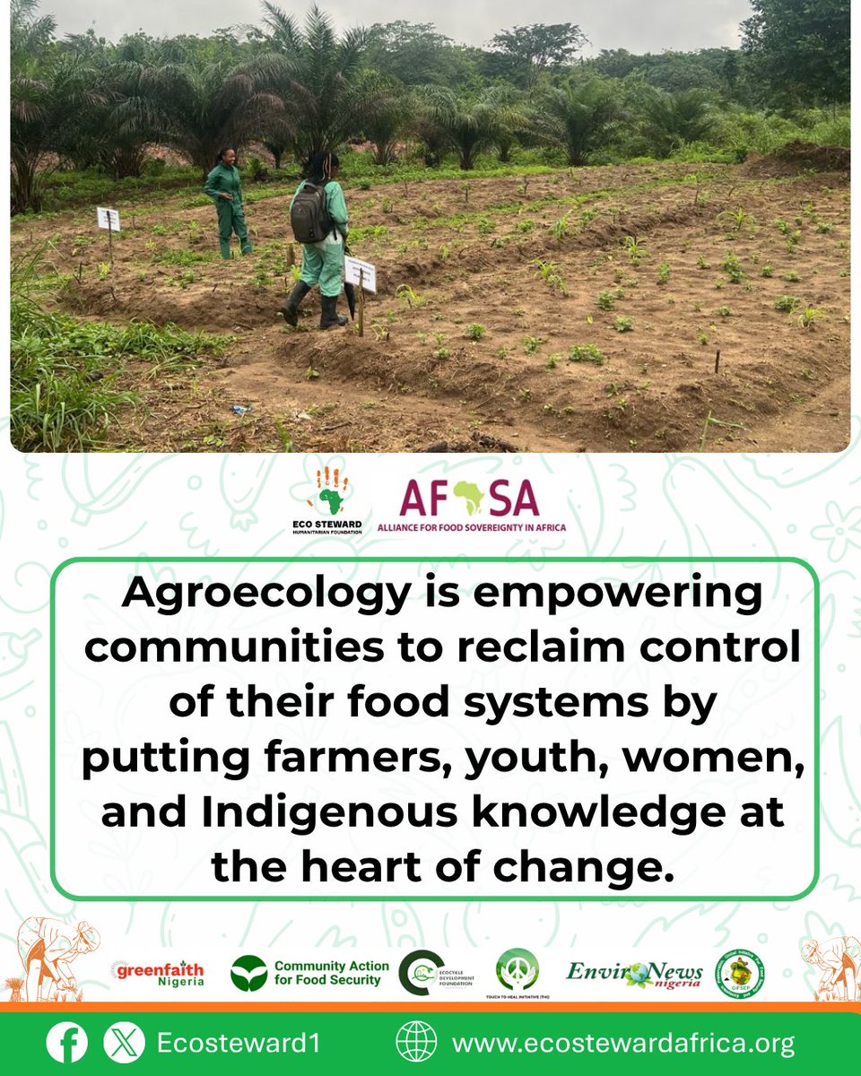 ecosteward1's tweet image. Agroecology isn’t just about growing food: it’s about living in harmony with nature.
The time for just transition is now.
Let’s keep planting seeds of justice, sustainability, and change.
#AgroecologyNow #Youth4Agroecology #FarmingWithNature