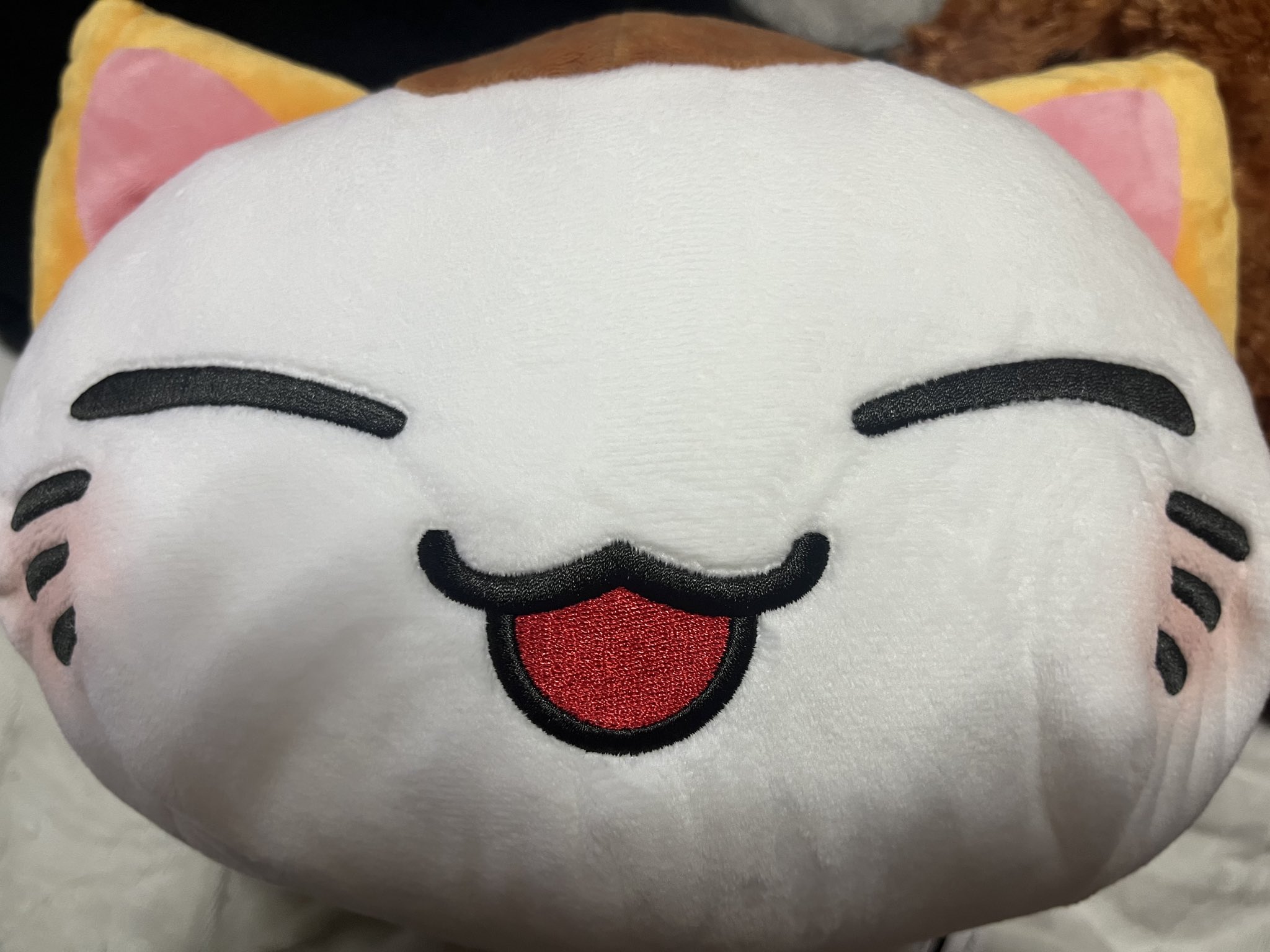 ねむねこ 51tPaGAv11L._UF350,350_QL50_.jpg