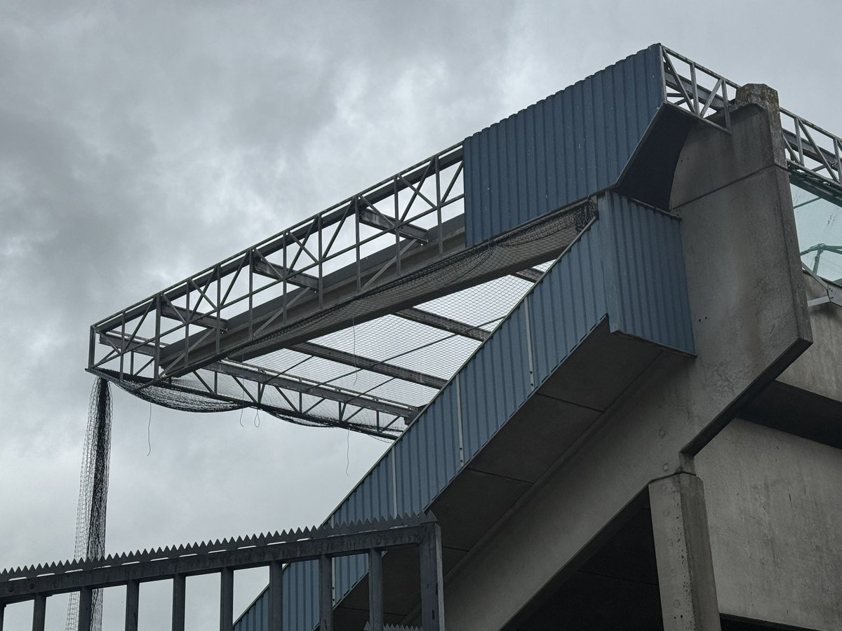 Mario de Vries tweet media