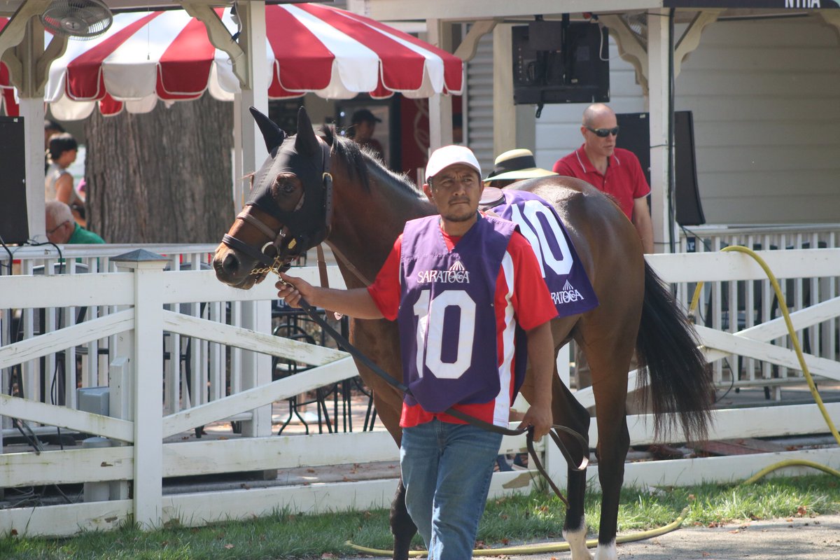 It’s New York Thoroughbred Aftercare Day at Saratoga! 🐎

Learn how racehorses transition to new careers and meet the incredible organizations making it happen.

TCA is proud to support numerous grant recipients across NY who lead this important work. ❤️