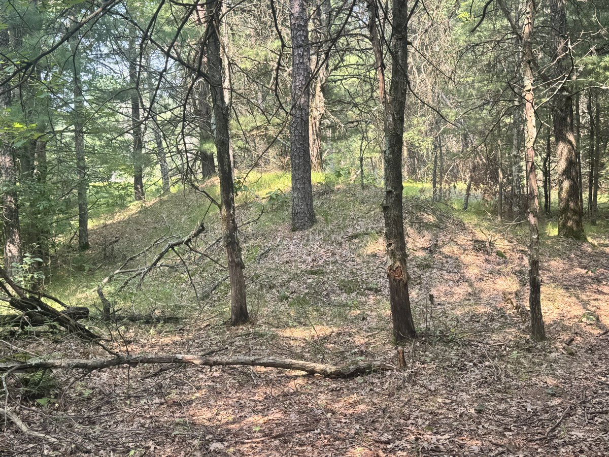 JeffUP_North's tweet image. According to the Wisconsin DNR, there used to be up to 15-20,000 burial and effigy mounds in the state. Sadly, only a fraction remain today. I took a day trip to visit 5 sites in my latest video. Go check it out! youtu.be/e51TuGNqg7c?si…