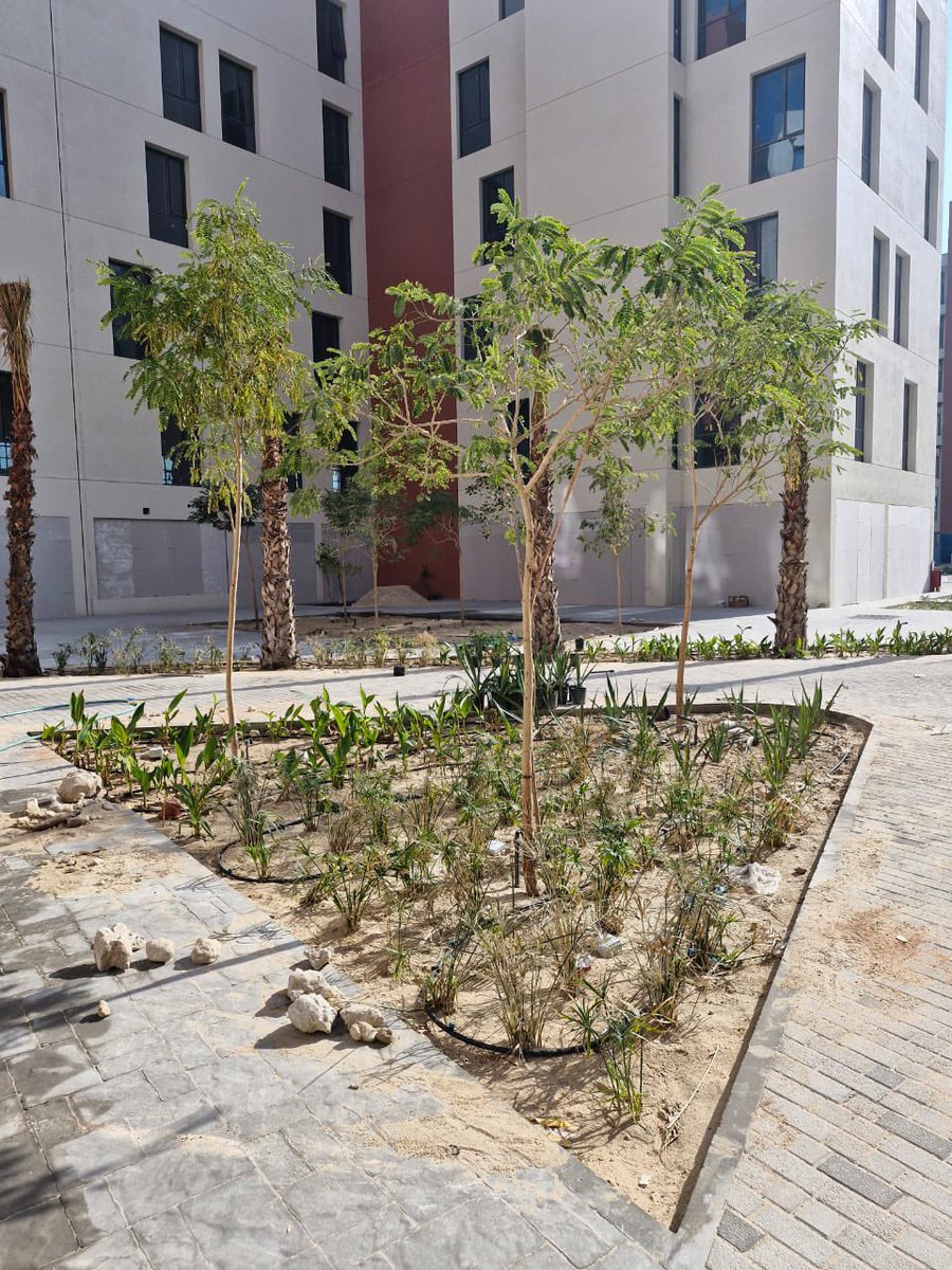 شركة جنا نجد tweet media