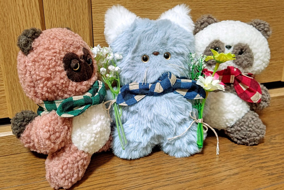 OtomoNuinui's tweet image. オーダーいただいたお客様から
素敵なレビューをいただきました♡
ありがとうございます🙇♀️
可愛いお写真もいただきました📸💓
先住ちゃんたちに歓迎されるおねこさん🥁🐱🐼💐
3匹仲良く過ごしてね〜!
#おともぬいぬい