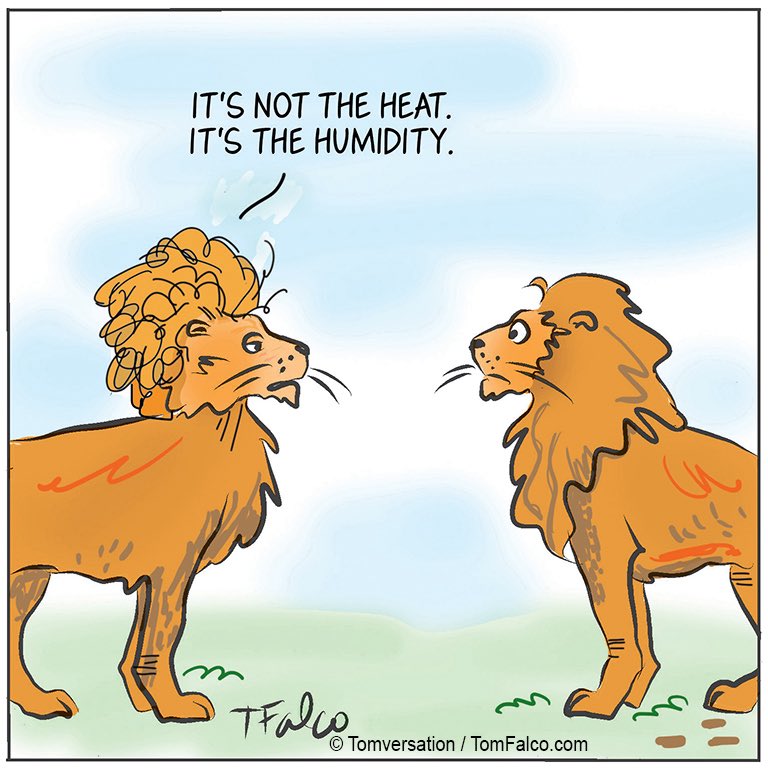 Summer heat &amp; humidity ☀️
Via TomFalco.com 
#cartoon #comics