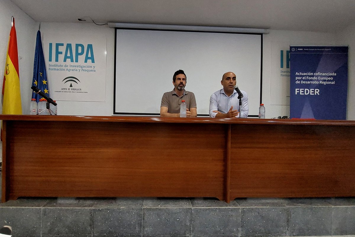 IfapaJunta's tweet image. La @AndaluciaJunta da a conocer los resultados de sus estudios para el control #biológico del #Thrips parvispinus en #invernadero 🪰
Este trabajo del #IFAPA genera #conocimiento para mejorar su manejo y poder aplicar medidas más oportunas y efectivas🧑🌾
🌐lajunta.es/5rysq