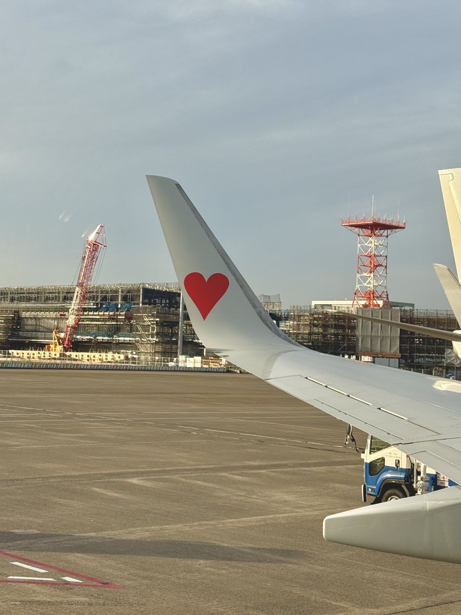 Alma_visited's tweet image. 羽田到着
今回の旅で初めてスカイマークに乗りました！20キロまで預け荷物無料だし羽田発着の昼間のフライトも選べたし、かなり良かったです