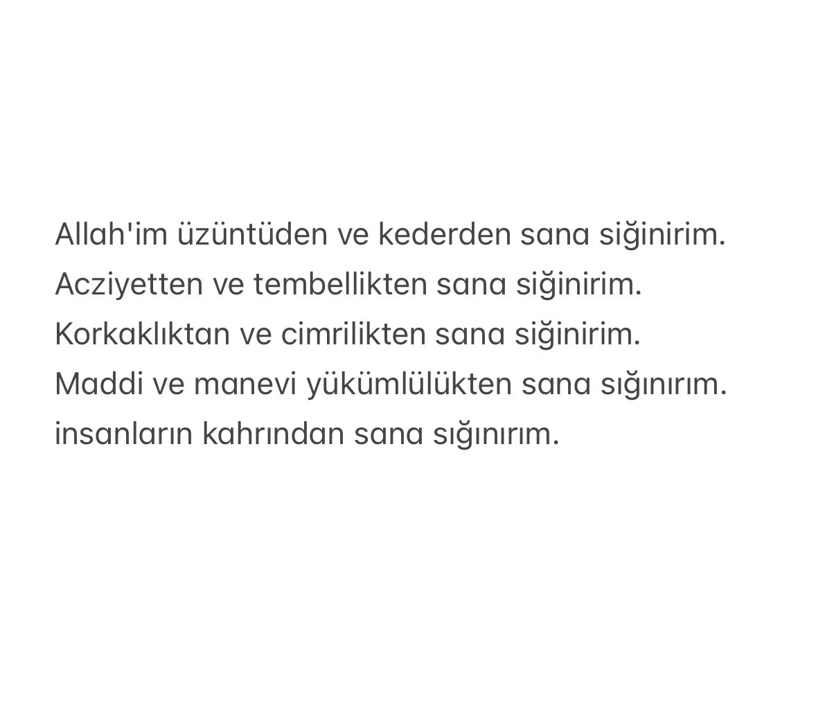 Vahide (@vahideecelen) on Twitter photo 