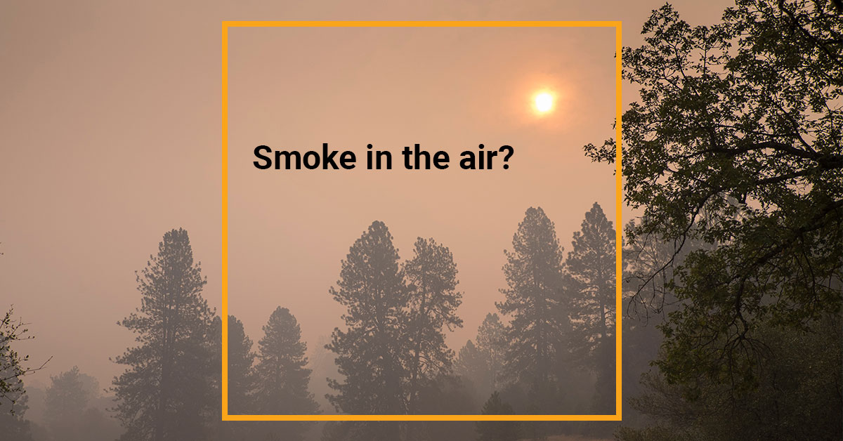 Parts of our region are under air quality advisories today and in the coming days.

Know the forecast and plan accordingly!

Take action to protect your health: ow.ly/Vxu650WroRX

Be safe, NWO!
