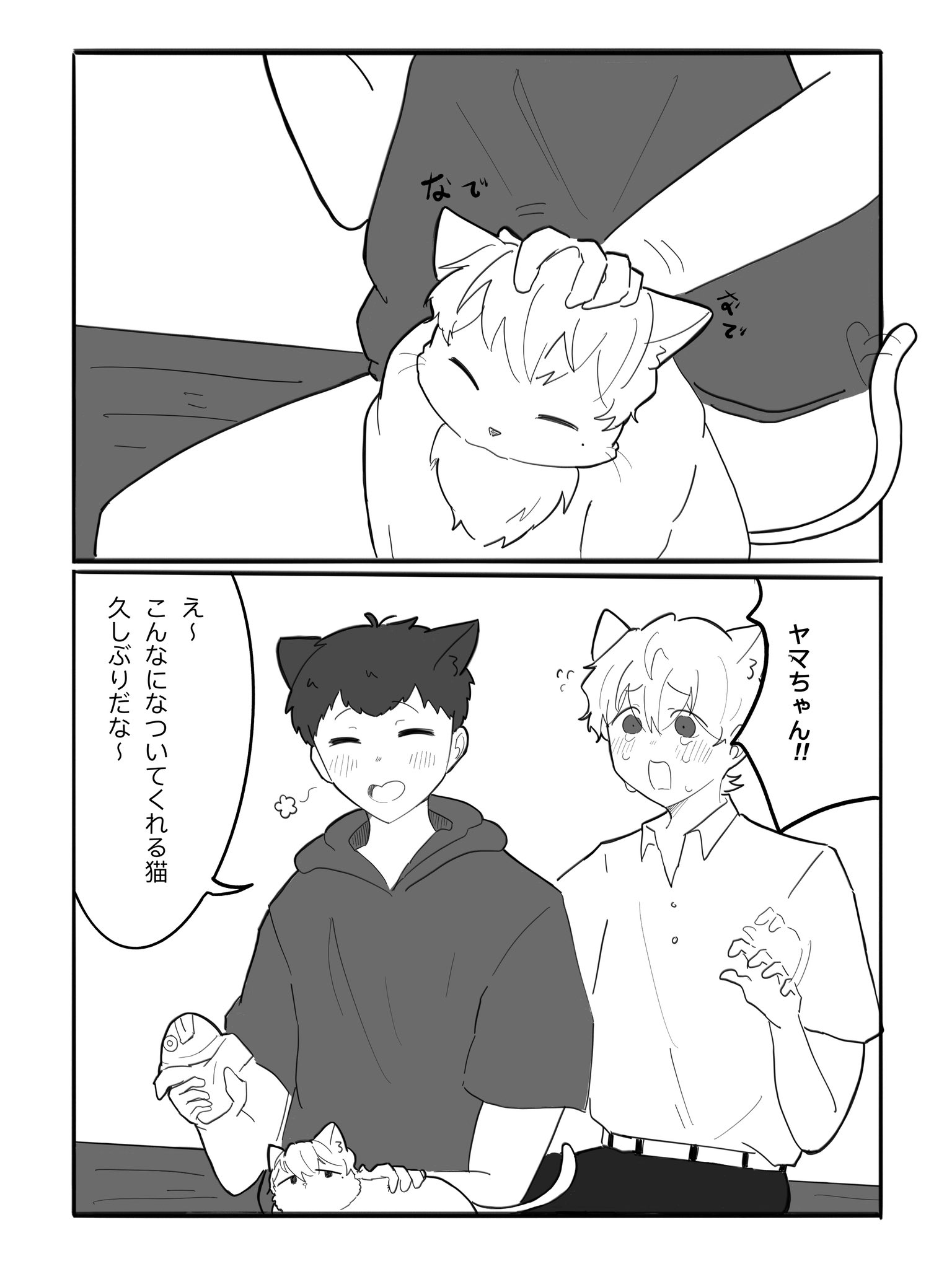まりも様 まりも (@Mr_Marimo_) / X