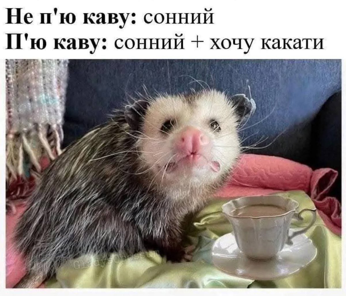 Tathaghata1's tweet image. Чесно вкрав на ФБ, але ж правда!