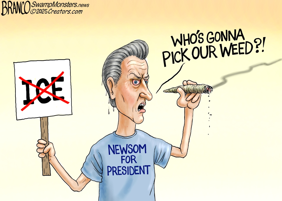 Today's Toon - The Blunt Truth - 07/17/25
swampmonsters.news