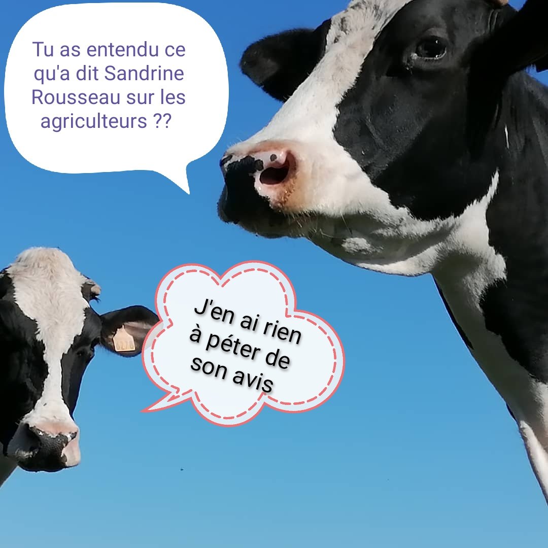 Rien à rajouter....