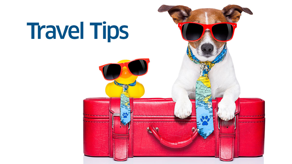 TSA's tweet image. Here's a #TravelTip: Traveling with your pets this weekend? Our X-ray machines are not veterinary equipment. Please don’t send your pets through our X-ray scanners! If you believe your pet may attempt an escape during screening, ask our officers about private screening options.