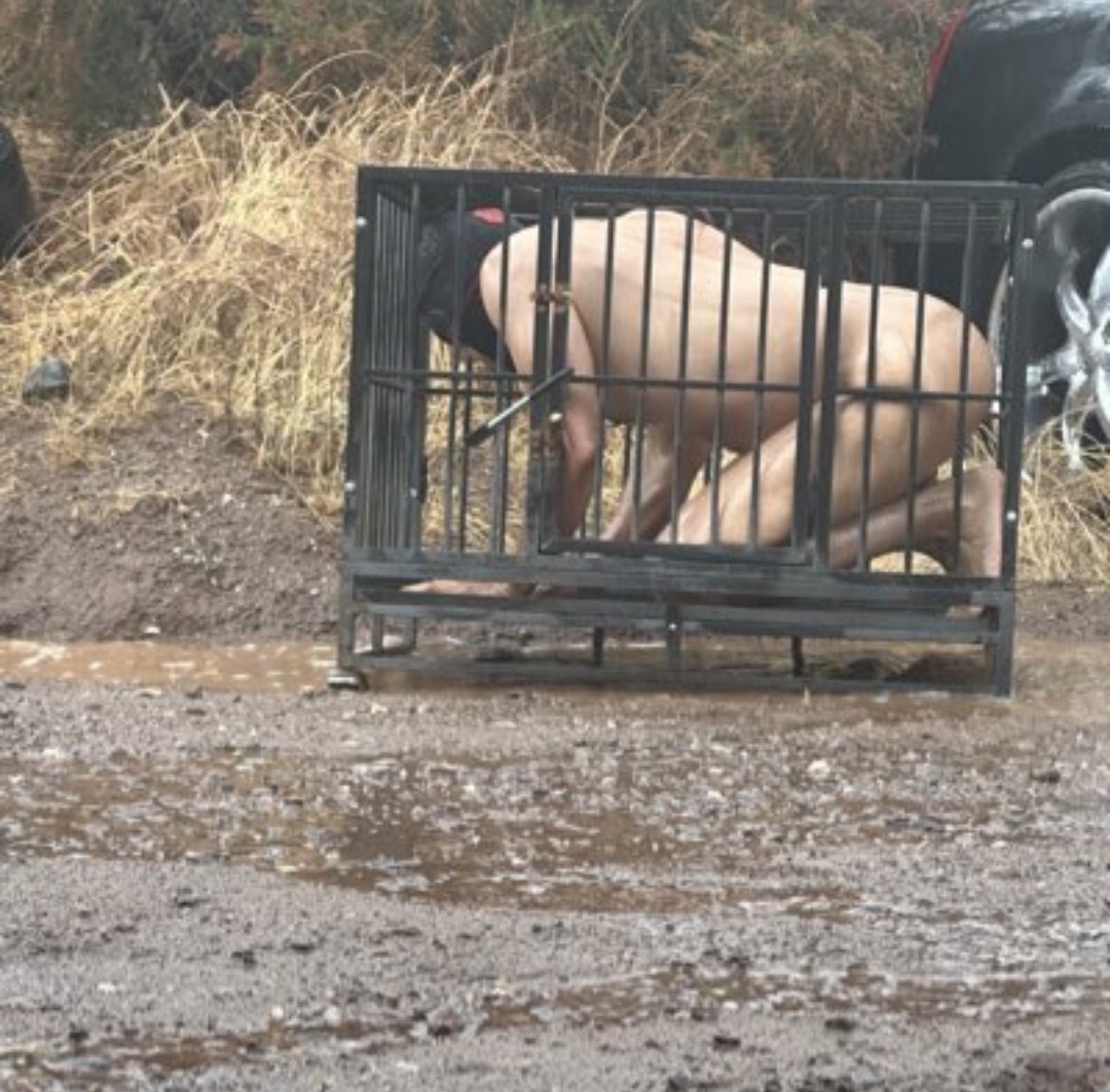 P  sif k  le (@pasifkole5) on Twitter photo 