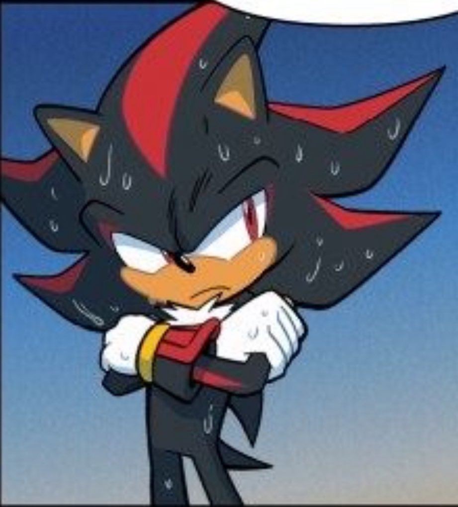 KUshadsthehedge's tweet photo. Omg soggy Shadow, he’s so cute ����🥹❤️ https://t.co/IhB4jjTWCM