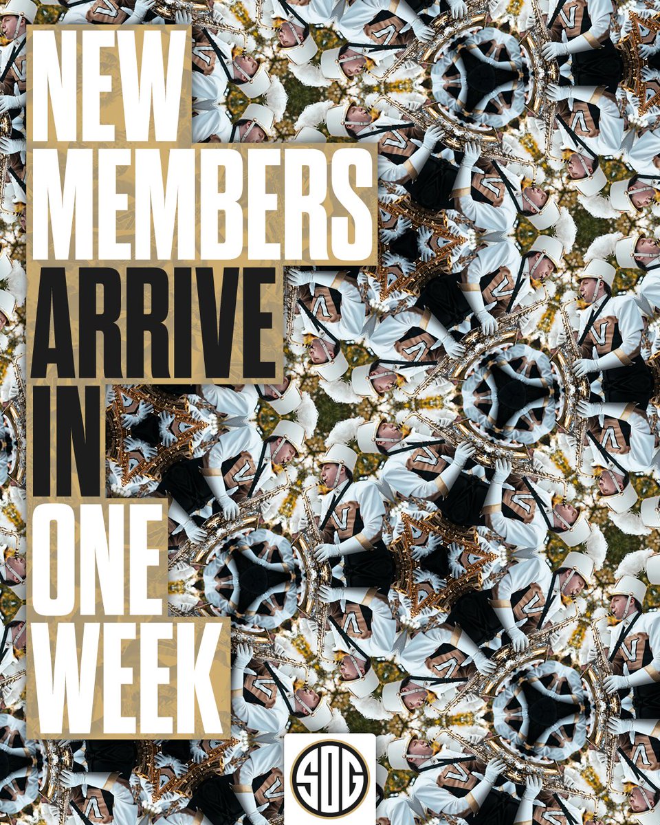 Vanderbilt Marching & Athletic Bands (@vandybands) on Twitter photo We're SO EXCITED to welcome all of our new Spirit of Gold members to Music City next week!!! ⚓️⬇️
#AnchorDown #SOGILTB
<a href="/vucommodores/">Vanderbilt Athletics</a> <a href="/VanderbiltU/">Vanderbilt University</a> We're SO EXCITED to welcome all of our new Spirit of Gold members to Music City next week!!! ⚓️⬇️
#AnchorDown #SOGILTB
<a href="/vucommodores/">Vanderbilt Athletics</a> <a href="/VanderbiltU/">Vanderbilt University</a>