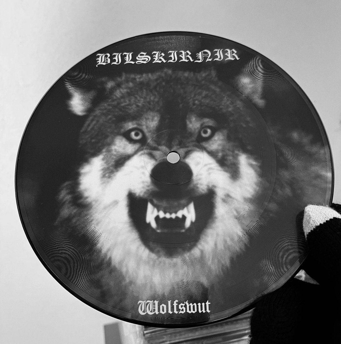 Guys, which is your precious in your collection?. The item that you value the most and never trade or sell. Mine is this beast 🐺