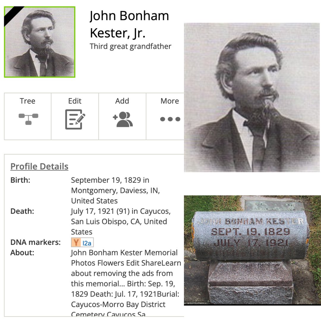 CowboyGospeler's tweet image. My third great-grandpa, John Bonham Kester Jr., came to California in 1866. His trail west ran from Indiana, Iowa, down to Texas, finally to the California. He settled as a rancher in Morro Bay, where he lived out his days, died in 1921, age of 91. His father was a Kentuckian.