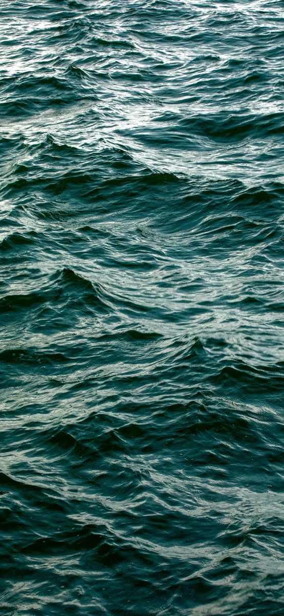 وأنتم وروني صورة ما كنتوا متوقعينها ؟