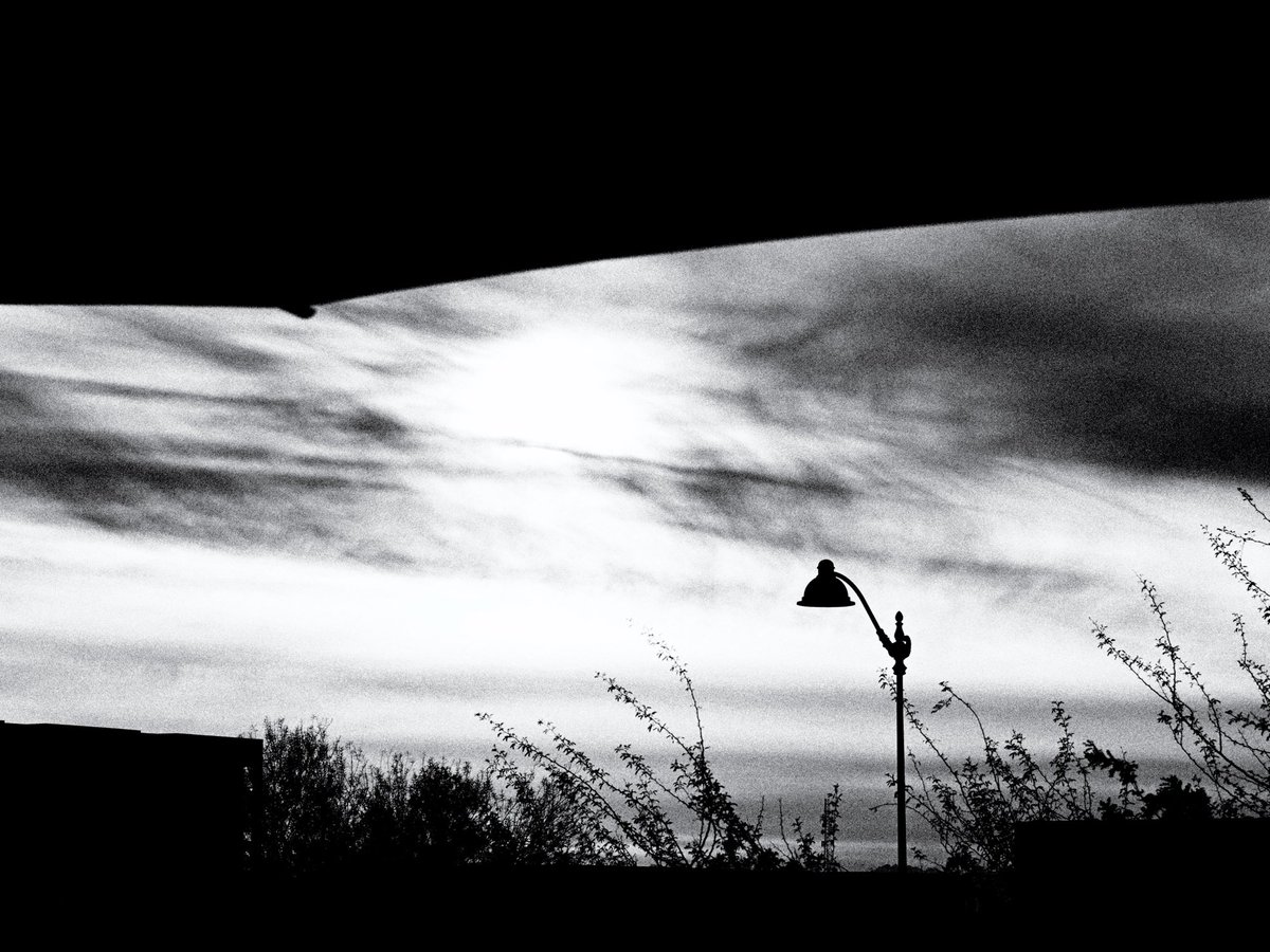 shine on
#arizona #desert #light #bnw #nature