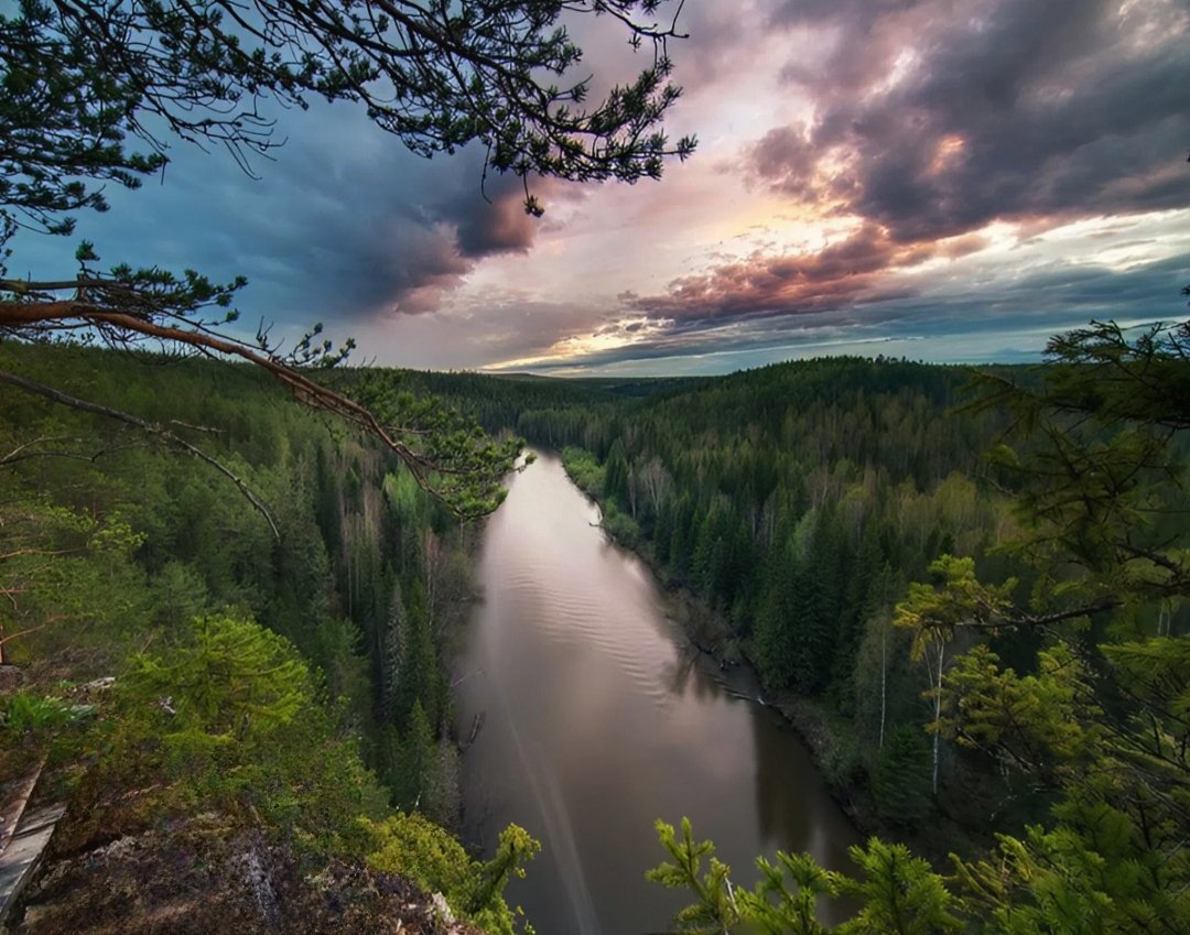 #Brazil #Belgium #Hungary #Venezuela