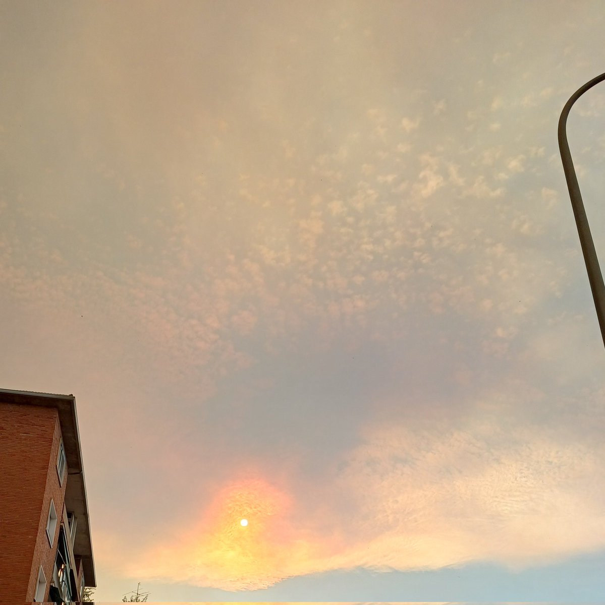 zaphariel's tweet image. No digo que sea el fin de los tiempos, pero el aire huele a humo, cae ceniza del cielo y el ciell está de esta guisa.