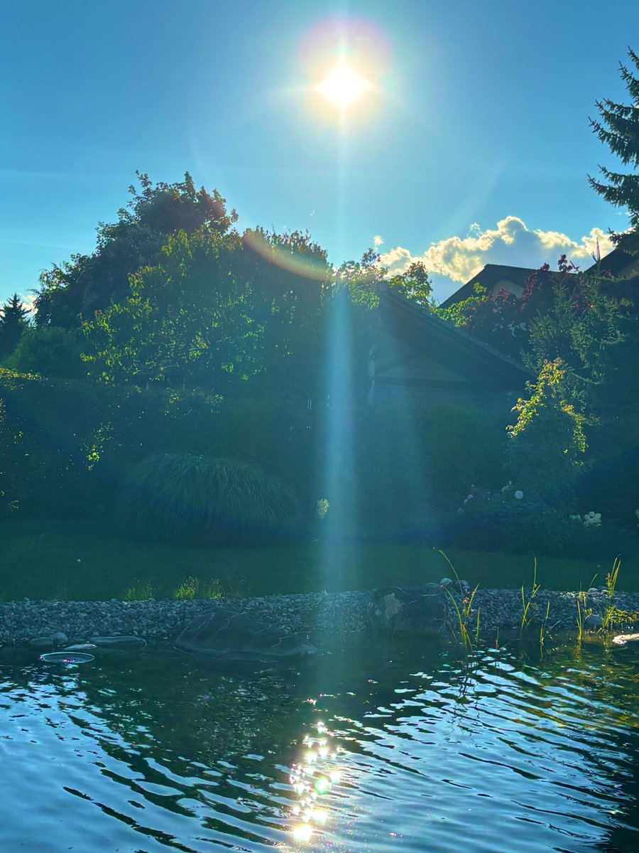 stein5864's tweet image. 💫✨💫 Schönen Abend    💫✨💫