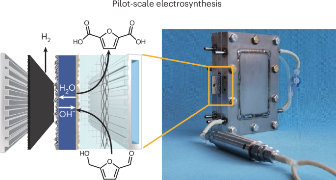 NatureCatalysis's tweet image. Selective electrooxidation of 5-hydroxymethylfurfural at pilot scale by engineering a solid polymer electrolyte reactor bit.ly/44RKEEl