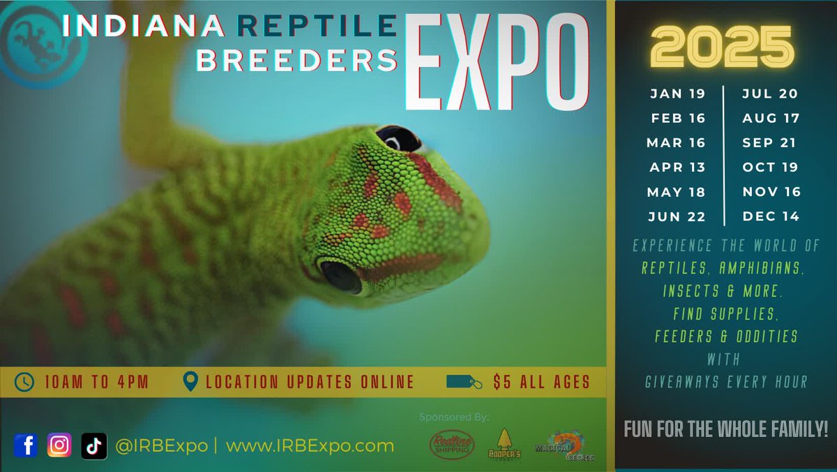 The area's largest reptile event, Indiana Reptile Breeders Expo, returns to Clarksville on Sunday, July 20! 🐍🦎

Meet expert vendors, explore the world of exotic pets, and maybe even find your next scaly companion! bit.ly/4nQgTfR

#GoSoIN