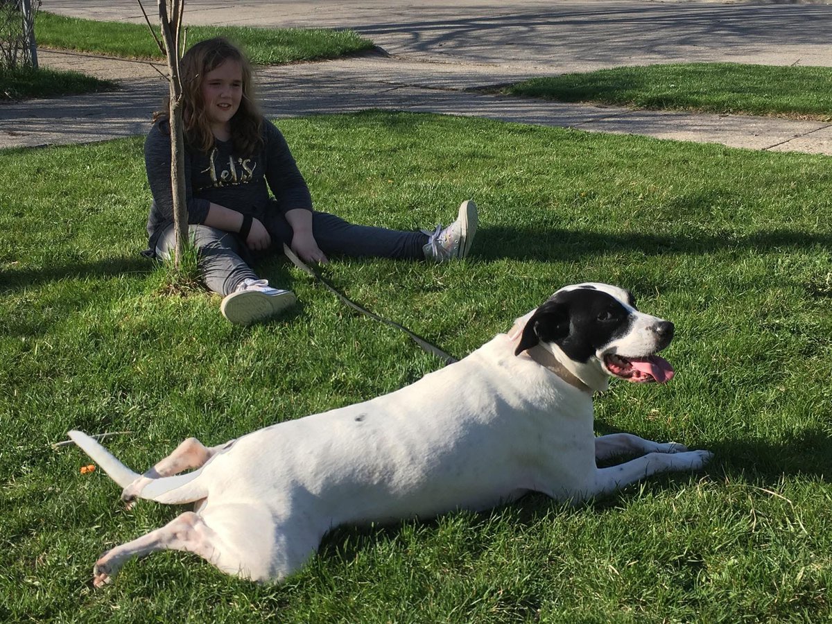 CountWhackula's tweet image. Goodbye Abbie. You’ll always be our good girl💔💔💔