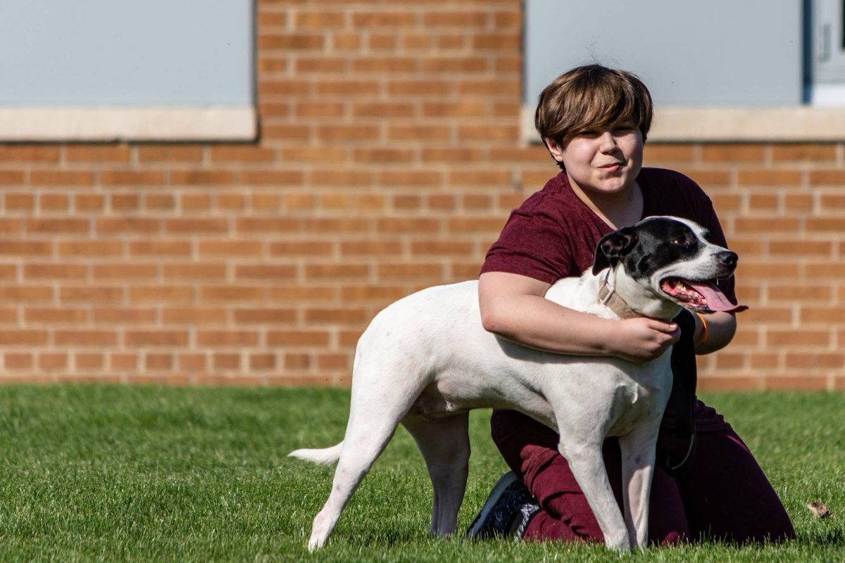 CountWhackula's tweet image. Goodbye Abbie. You’ll always be our good girl💔💔💔