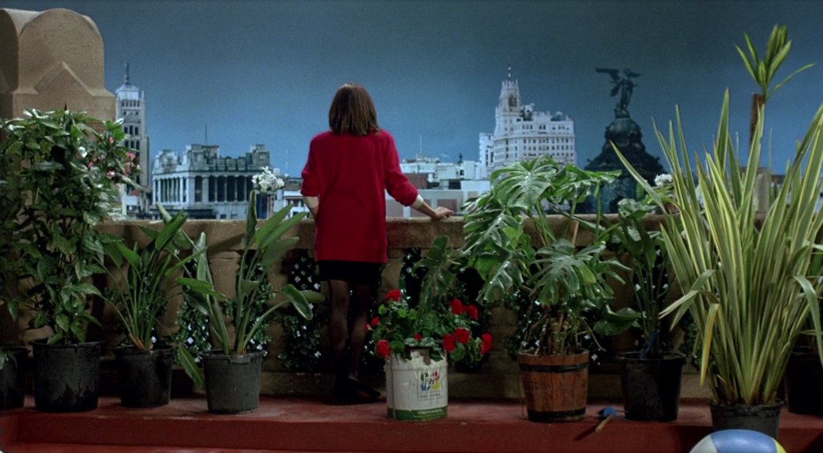oneperfectscene's tweet image. women on the verge of a nervous breakdown (1988) dir. pedro almodóvar