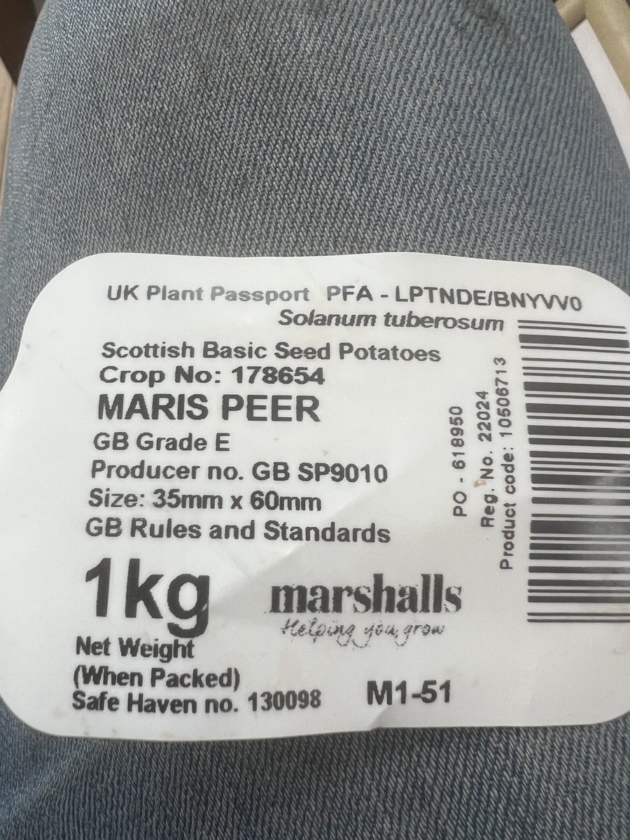 Prof_GD_Foster's tweet image. Always grown Maris Piper. First time ever growing Maris Peer. Looking forward to outcome. 🥔
Anyone out there grown Peer before.